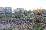 IMG 5069