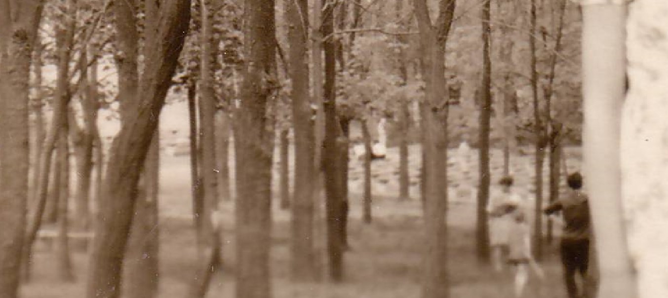 Комсомольский парк 1968